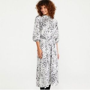 Ann Taylor snow leopard dress
